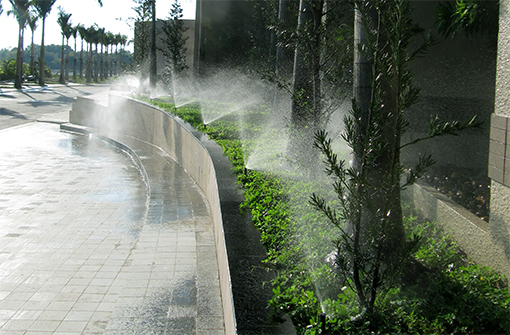 Tưới tự động