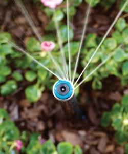 MP Rotator