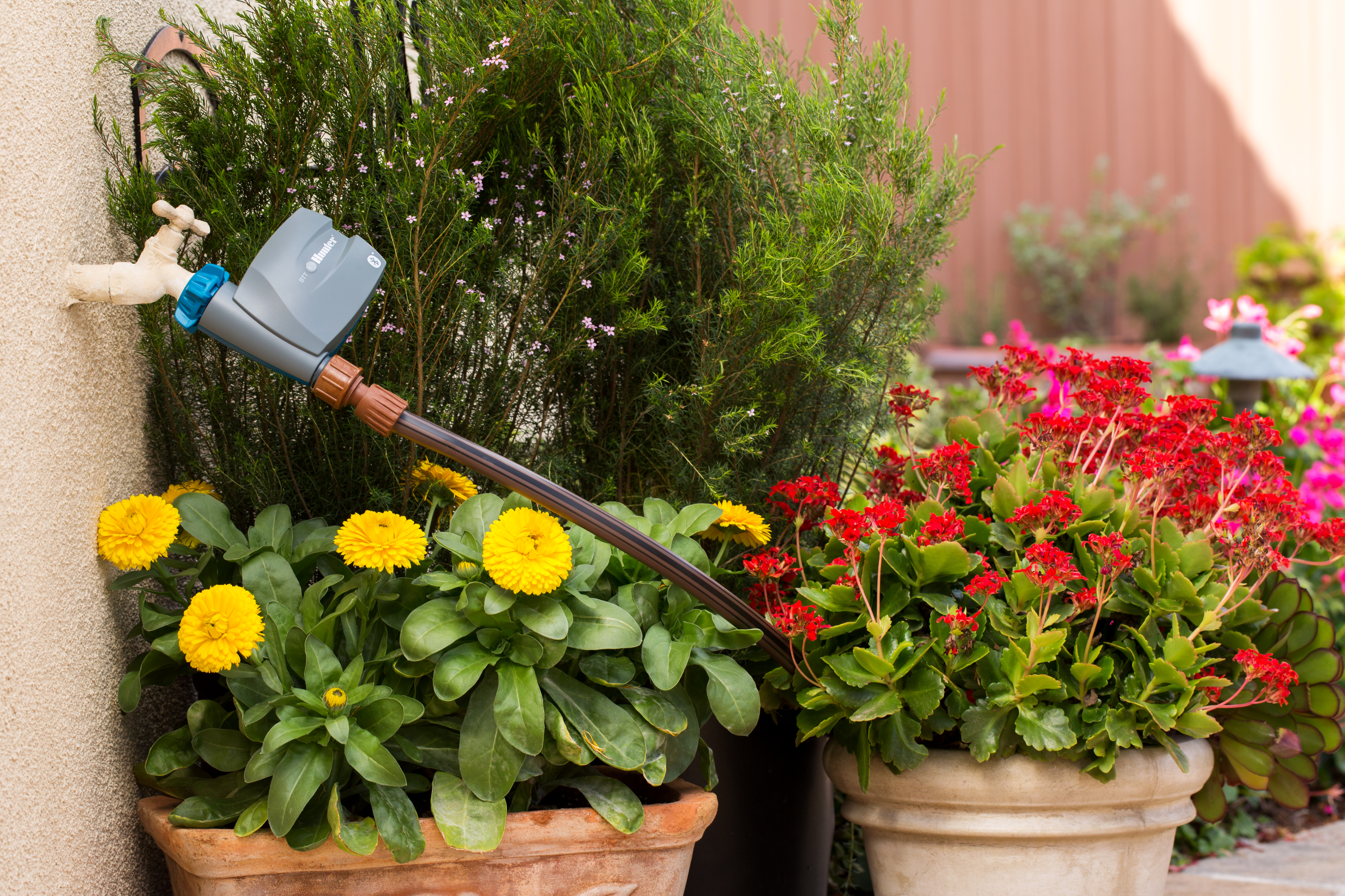 Tưới tự động