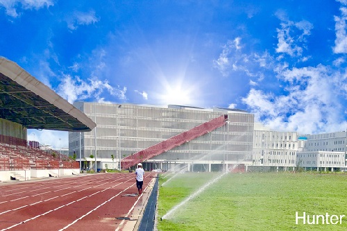 Tưới tự động