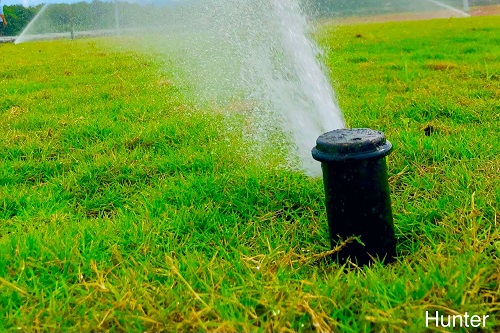 Tưới tự động