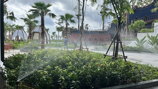 Tưới tự động