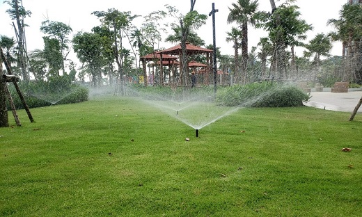 Tưới tự động