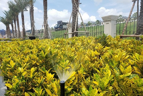 Tưới tự động