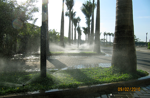 Tưới tự động