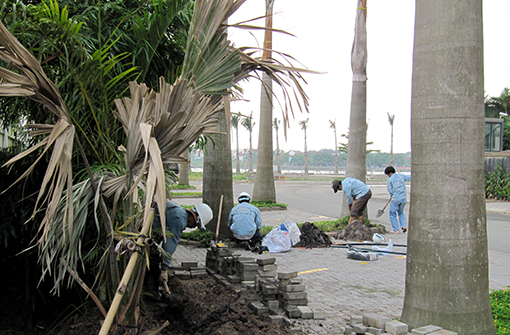 Tưới tự động