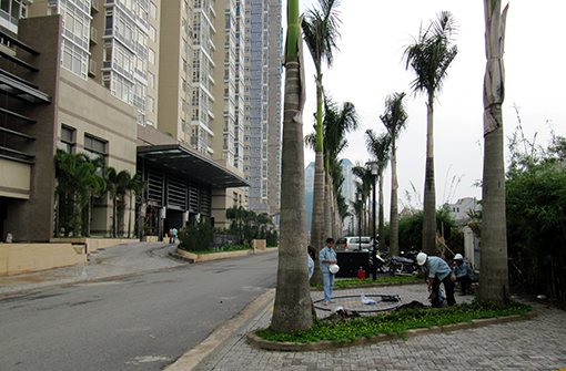 Tưới tự động