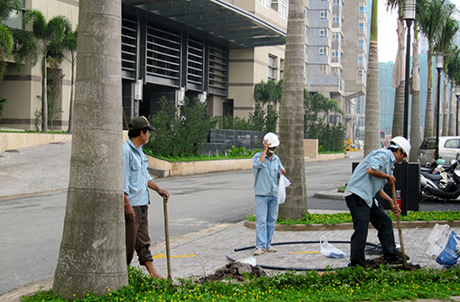 Tưới tự động
