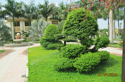 Tưới tự động