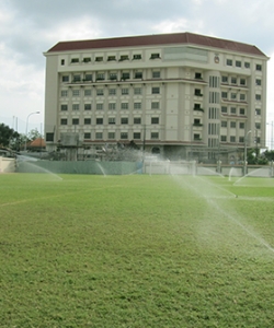 British International School 4