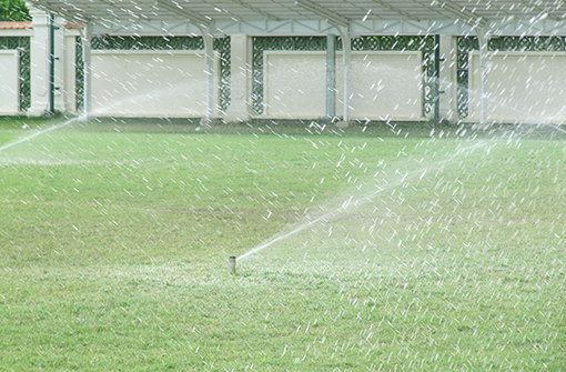 Tưới tự động