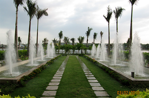 Tưới tự động