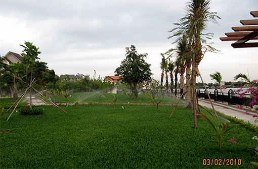 Tưới tự động