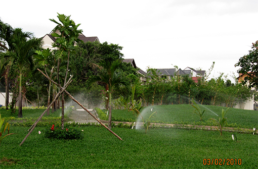 Tưới tự động