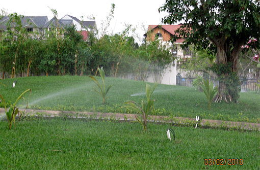 Tưới tự động