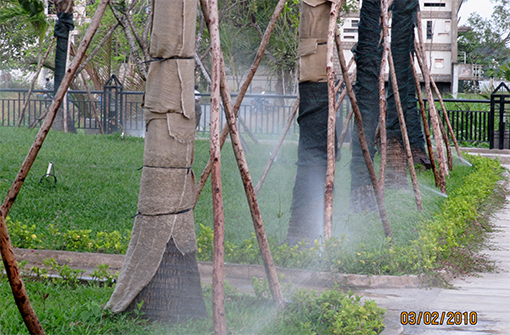 Tưới tự động