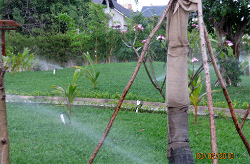 Tưới tự động