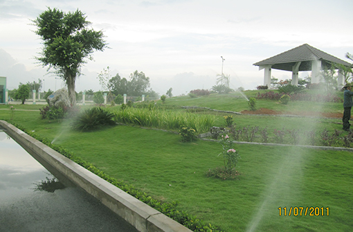 Tưới tự động