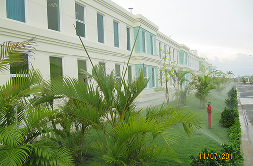 Tưới tự động