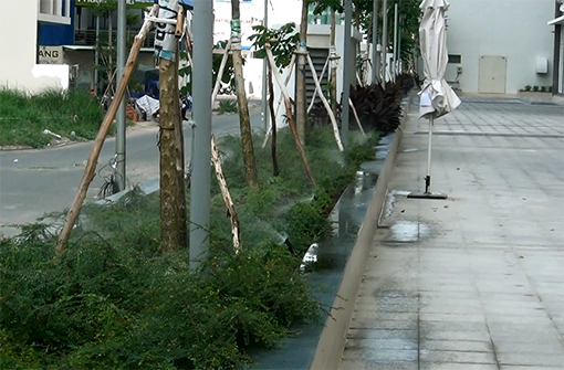 Tưới tự động