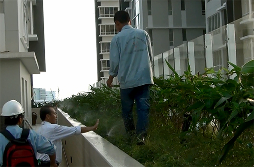 Tưới tự động