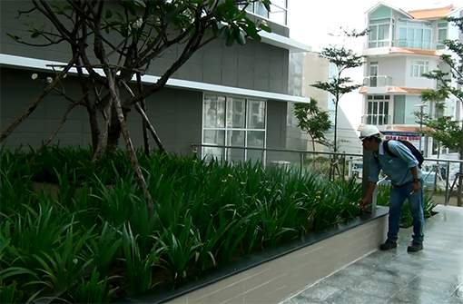 Tưới tự động