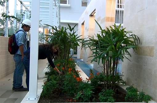 Tưới tự động