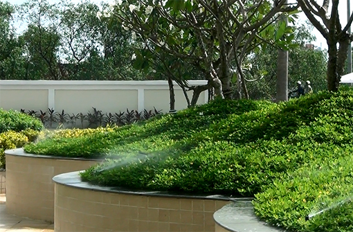 Tưới tự động