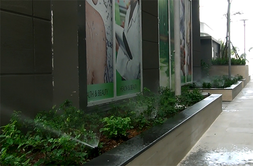 Tưới tự động