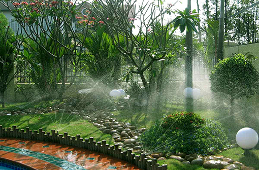 Tưới tự động