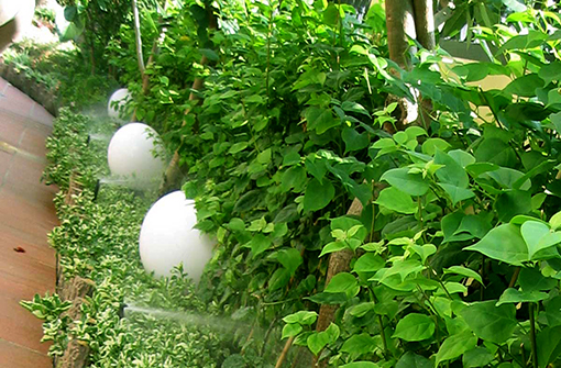 Tưới tự động