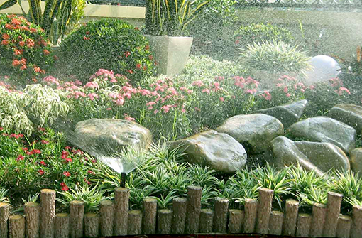 Tưới tự động