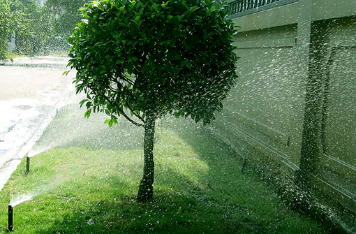 Tưới tự động