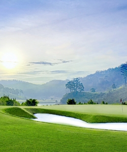 Tuyen Lam golf 7
