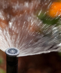 spray-nozzle-17A